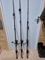 Complete Doodaasset, Ophalen of Verzenden, Gebruikt, Complete set