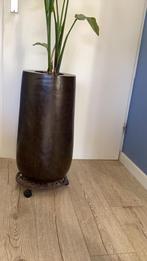 Bloempot, Ophalen, Steen, Gebruikt, Minder dan 30 cm