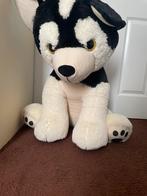 Grote honden knuffel, Ophalen of Verzenden, Zo goed als nieuw, Hond