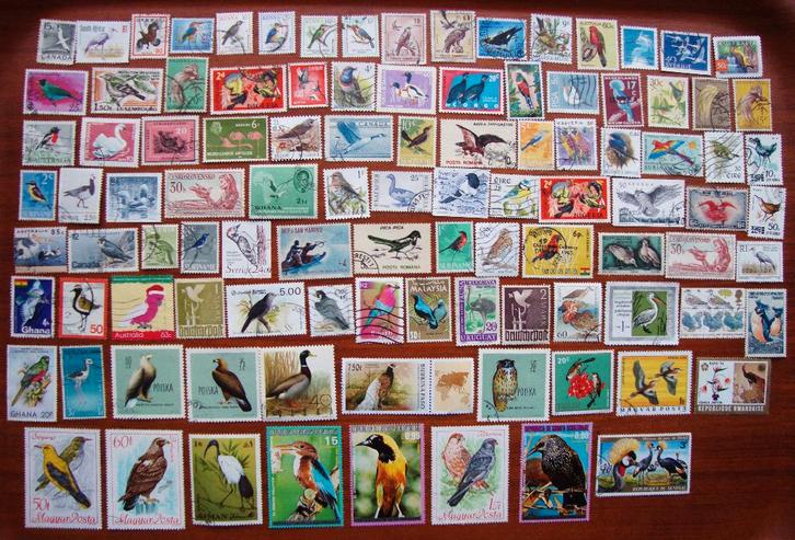 - 395 - 100 Vogels zegels. U krijgt wat U ziet., Postzegels en Munten, Postzegels | Thematische zegels, Gestempeld, Dier of Natuur