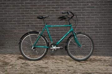 Raleigh Vintage MTB beschikbaar voor biedingen