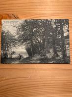 BERGEN (NH), Verzamelen, Ansichtkaarten | Nederland, Ophalen of Verzenden, 1920 tot 1940, Noord-Holland