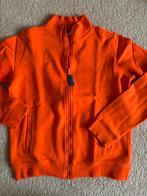 Hema oranje vest met opdruk Holland mt 146 152, Ophalen of Verzenden, Zo goed als nieuw, Jongen, Trui of Vest