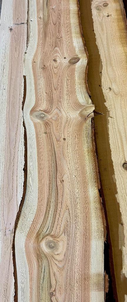 Douglas schaaldelen 18mm dik | 15-25cm breed, Doe-het-zelf en Verbouw, Hout en Planken, Nieuw, Plank, Overige houtsoorten, 300 cm of meer