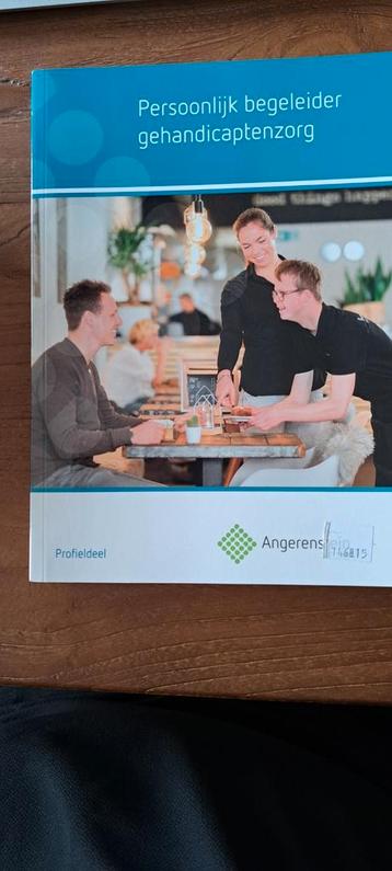 Persoonlijk begeleider gehandicaptezorg Angerenstein Welzijn beschikbaar voor biedingen