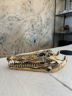Prachtige Nieuwe Massief Bronzen Schedel Krokodil, Ophalen of Verzenden, Nieuw