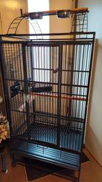 Papegaaienkooi, Ophalen