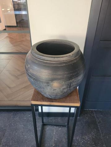 Oude Chinese Pot, olijf pot (Aura Peeperkorn) beschikbaar voor biedingen