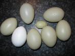Plastic eieren geschikt voor omhaken: Paasversiering., Hobby en Vrije tijd, Overige typen, Ophalen of Verzenden, Zo goed als nieuw