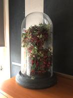 Prachtige grote stolp op betonnen voet, Ophalen, Zo goed als nieuw