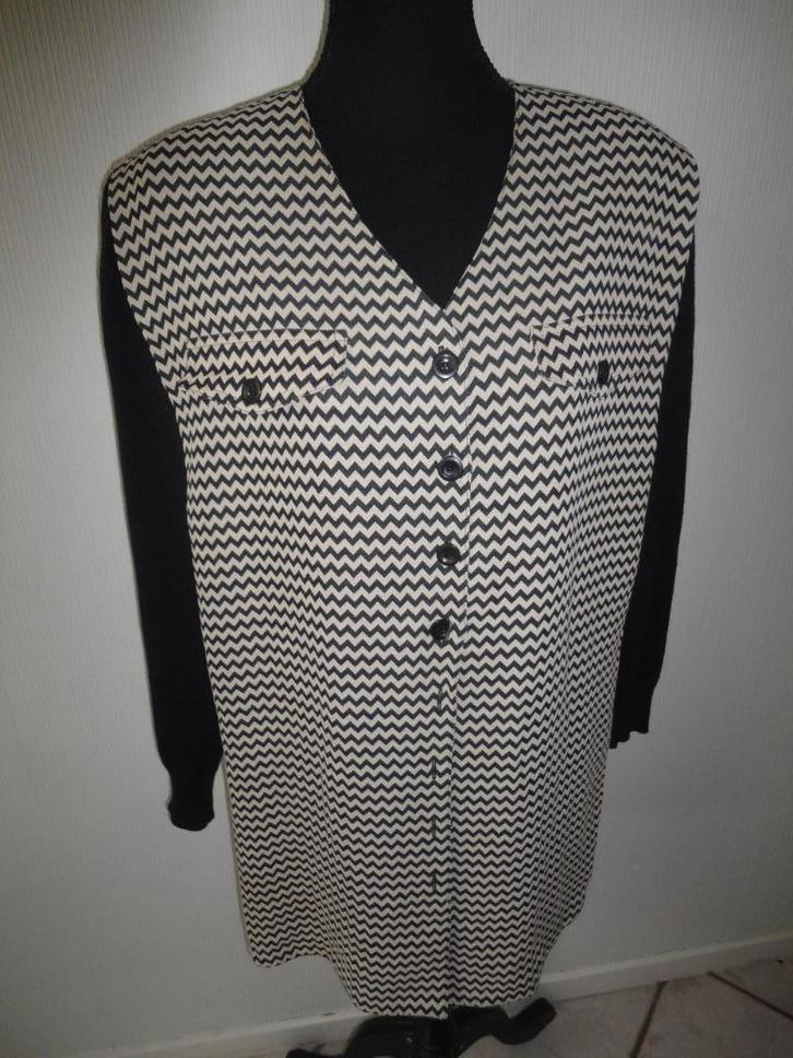 elena grunert maat 46 valt als 48/50 oksel tot oksel 66 cm, Kleding | Dames, Grote Maten, Zo goed als nieuw, Trui of Vest, Ophalen of Verzenden