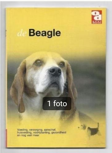 De Beagle, Boeken, Dieren en Huisdieren, Zo goed als nieuw, Honden, Ophalen of Verzenden