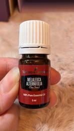 Young Living essentiële olie Tea Tree 5ml, Ophalen of Verzenden, Nieuw, Aroma