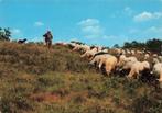 Exloo, Schaapskudde, Ophalen of Verzenden, 1960 tot 1980, Gelopen, Drenthe