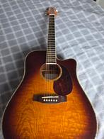 Takamine, Ophalen of Verzenden