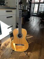 Peavey klassische acoustische gitaar, Muziek en Instrumenten, Ophalen, Zo goed als nieuw, Western- of Steelstringgitaar