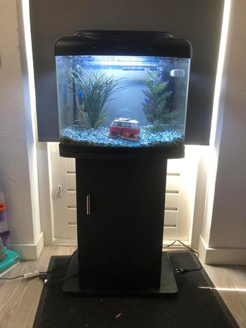 Compleet aquarium Superfish Aqua 60 beschikbaar voor biedingen