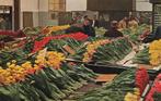 Aalsmeer, Interieur bloemenveiling, tulpen (klein formaat), Verzamelen, Ansichtkaarten | Nederland, Ophalen of Verzenden, 1960 tot 1980