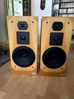 Translator Impact 4/II, Gebruikt, 60 tot 120 watt, Front, Rear of Stereo speakers, Ophalen