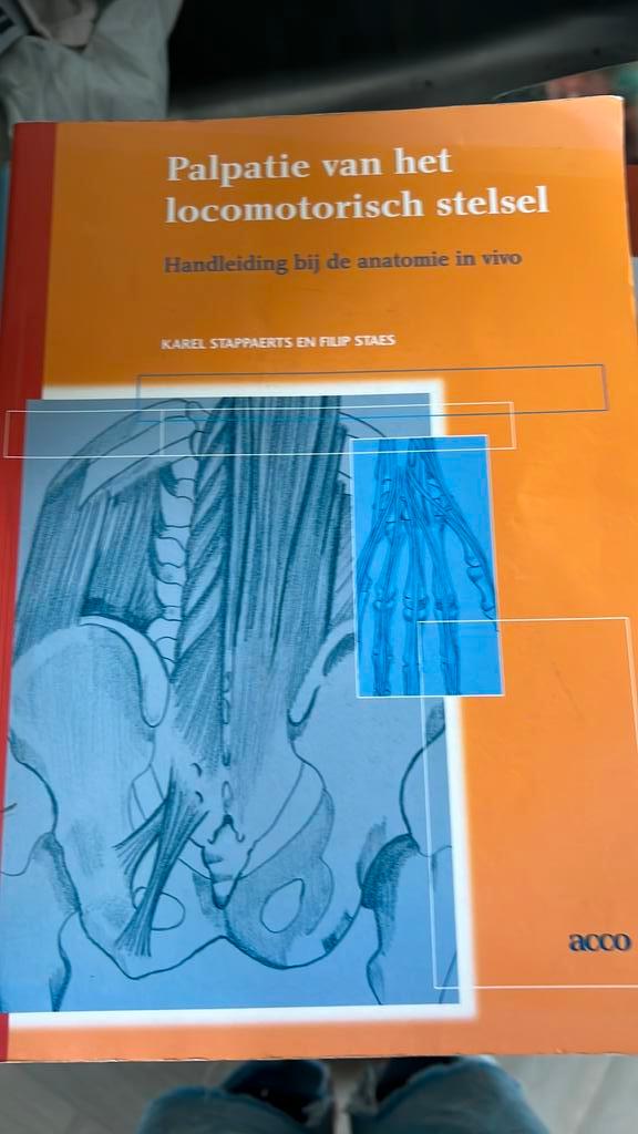 K. Stappaerts - Palpatie van het locomotorisch stelsel, Boeken, Wetenschap, Zo goed als nieuw, Ophalen of Verzenden