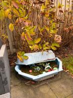 Zandbak Schelp met Zand - 80x100cm, Ophalen, Gebruikt