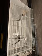 Cavia kooi gratis, Dieren en Toebehoren, Hondenbenches, Ophalen of Verzenden