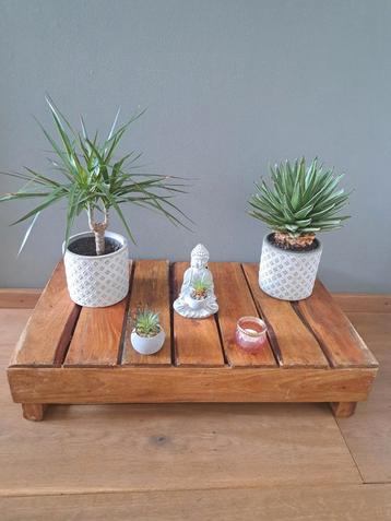 🌸 HOUTEN KRAT KIST DIENBLAD BROODKRAT DECORATIE BUFFET  beschikbaar voor biedingen