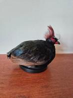 recent opgezetten roelroel haan!, Verzamelen, Dierenverzamelingen, Ophalen of Verzenden, Nieuw, Vogel, Opgezet dier