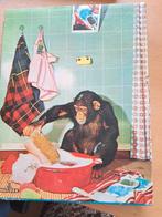 Oude puzzle jaren 60 Mulder hout, Eén stripboek, Ophalen