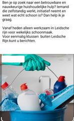 Huishoudelijk hulp schoonmaakster, Kleding | Dames, Ophalen, Zo goed als nieuw, Trui of Vest