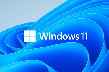 Windows 11 | Binnen 1 minuut geleverd beschikbaar voor biedingen