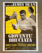 poster Rebel without a cause James Dean 140x100, Rechthoekig Staand, Ophalen of Verzenden, Zo goed als nieuw, A1 t/m A3