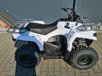 orion 200cc Landbouw / quad ( Grizzly 125 ) zonder kenteken, Motoren, Quads en Trikes