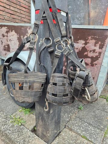 Graasmaskers beschikbaar voor biedingen