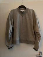 Grijze sweater van POM Amsterdam, Kleding | Dames, Maat 42/44 (L), Ophalen of Verzenden, Zo goed als nieuw, Grijs