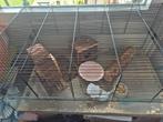 Hamster/cavia kooi, Dieren en Toebehoren, Kooi, Zo goed als nieuw, Hamster, Ophalen