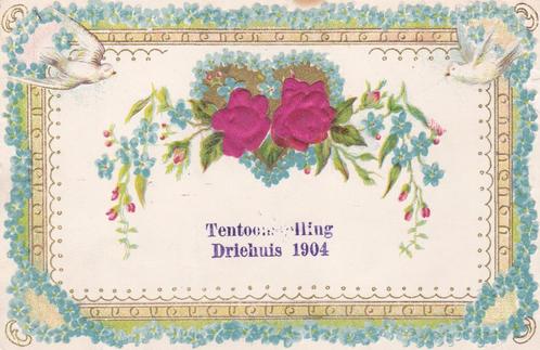 driehuis velsen  tentoonstelling  1904, Verzamelen, Ansichtkaarten | Nederland, Noord-Holland, 1960 tot 1980, Ophalen of Verzenden