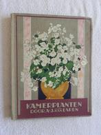 Kamerplanten door J. van Laren - Compleet (1928), Boeken, Prentenboeken en Plaatjesalbums, Ophalen of Verzenden, Gelezen
