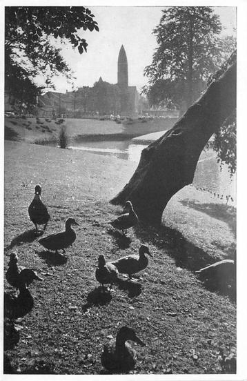 (388-336-045) Driebergen-Rijsenburg de Wildbaan beschikbaar voor biedingen
