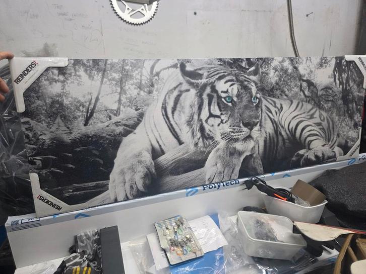 Reinders Schilderij - Tijger, Huis en Inrichting, Woonaccessoires | Schilderijen, Tekeningen en Foto's, Nieuw, Schilderij, 50 tot 75 cm