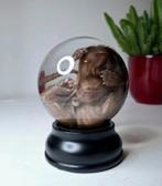 Kitten op sterk water, Ophalen of Verzenden, Nieuw, Hond of Kat, Opgezet dier