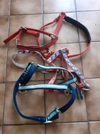 2x halsters, Dieren en Toebehoren, Ophalen of Verzenden, Gebruikt, Overige soorten