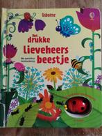Drukke Lieveheersbeestje - Usborne Uitklapboek, Usborne, Ophalen of Verzenden, Zo goed als nieuw, Uitklap-, Voel- of Ontdekboek