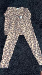 Feetje, Ophalen of Verzenden, Zo goed als nieuw, Maat 34 (XS) of kleiner, Roze