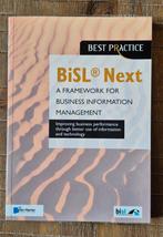 Gerard Wijers - BiSL Next, Gerard Wijers; Brian Johnson; Lucille van der Hagen; Walter Z..., Sociale wetenschap, Ophalen of Verzenden