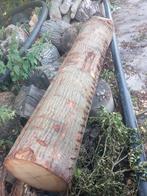 Eiken stammen te koop zaaghout, Tuin en Terras, Ophalen of Verzenden, Zo goed als nieuw, 250 cm of meer, Palen