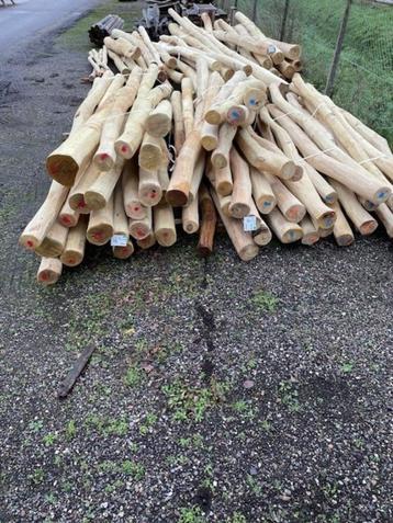 Robinia, geschuurd + spintvrij diverse maten beschikbaar voor biedingen