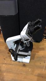 Euromex microscoop., Ophalen of Verzenden, Zo goed als nieuw, Minder dan 400x