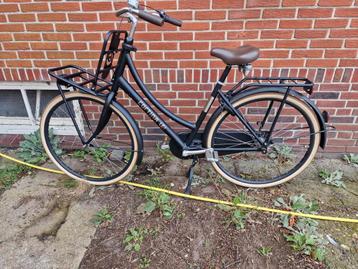 Back to School met modellen van Cortina type transportfiets beschikbaar voor biedingen