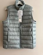 Nieuwe lichtgrijze bodywarmer Uniqlo maat S, Kleding | Heren, Maat 52/54 (L), Uniqlo, Nieuw, Ophalen of Verzenden